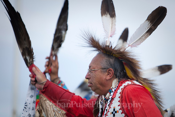 Wacipi_2011-2184