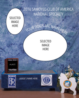CUSTOM AWARD TEMPLATE
