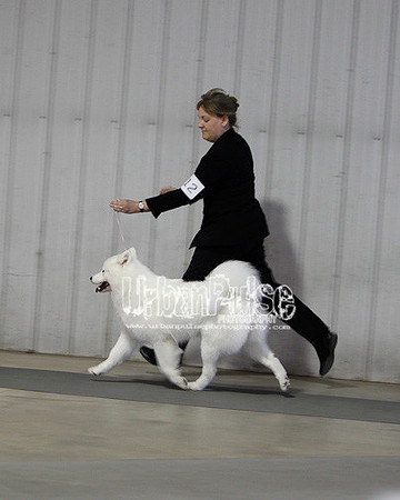 Fargo_2011-3786