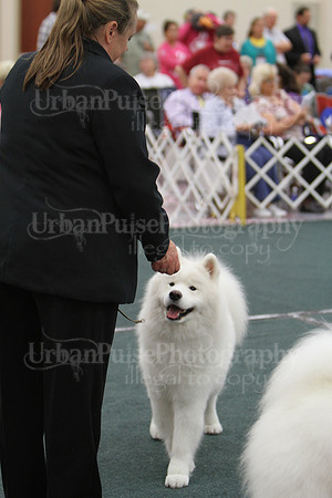 D BOB GR4-3797 2014 SCA National