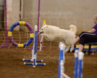 SCA2016_AG MON FAST NOVICE-3549