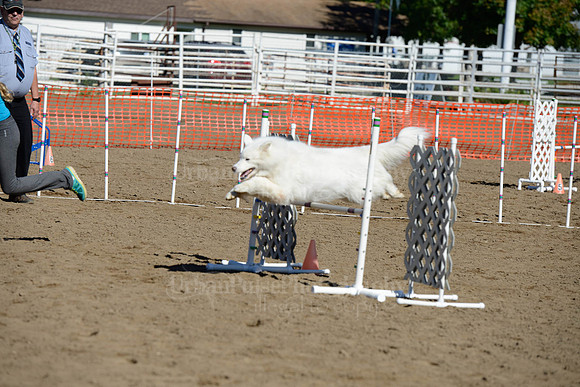 AGILITY-1944