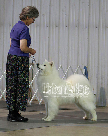 Fargo_2011-3804