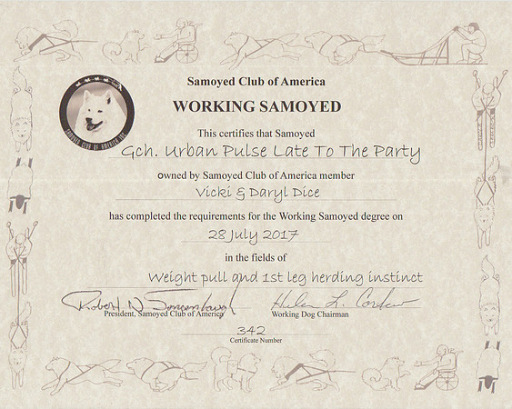 Bogie WS Certificate