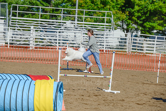 AGILITY-2163