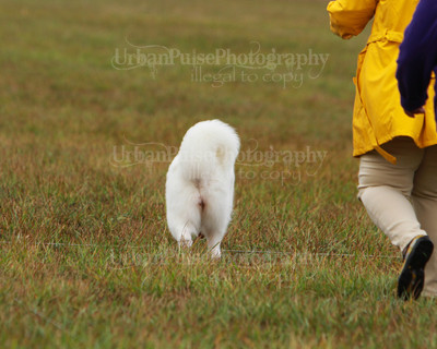 SCA2016_LURE COURSING-7750