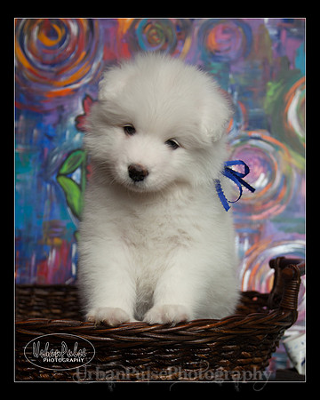 MaterxMaya5.5wks-8701