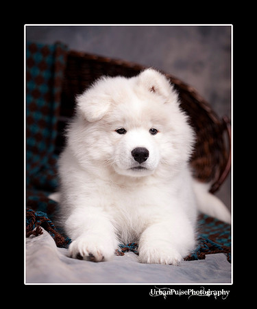 GreenBoy_10wks_web_0645