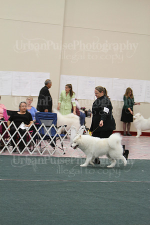 D BOB GR4-3944 2014 SCA National