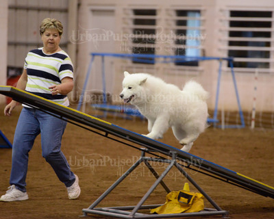 SCA2016_AG MON FAST NOVICE-3533