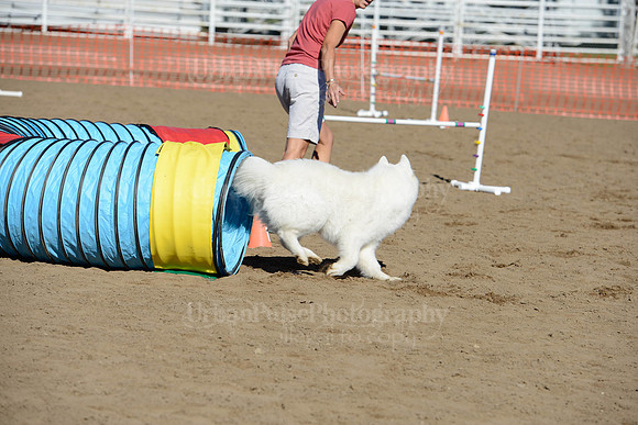 AGILITY-1976