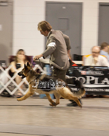 Fargo_2011-3958