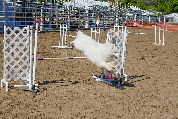 AGILITY-2406