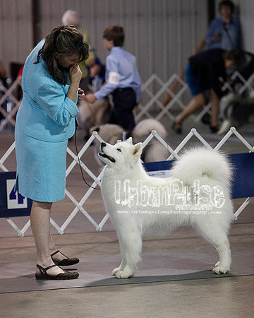 Fargo_2011-4183