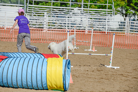 AGILITY-2198