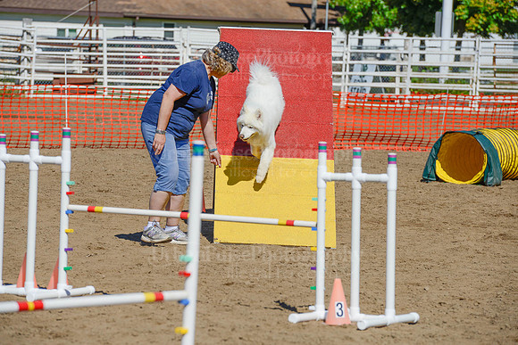 AGILITY-2281