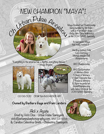 MAYA BULLETIN AD NEW CH