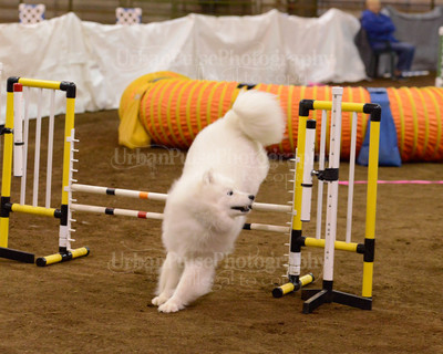 SCA2016_AG MON FAST NOVICE-3547