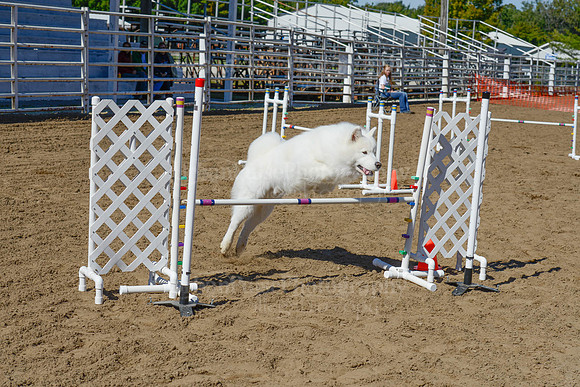 AGILITY-2359
