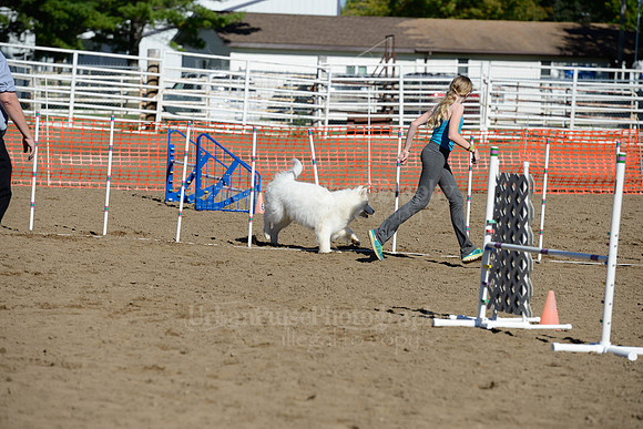 AGILITY-1940