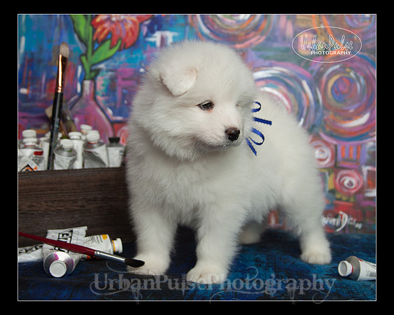 MaterxMaya5.5wks-8706