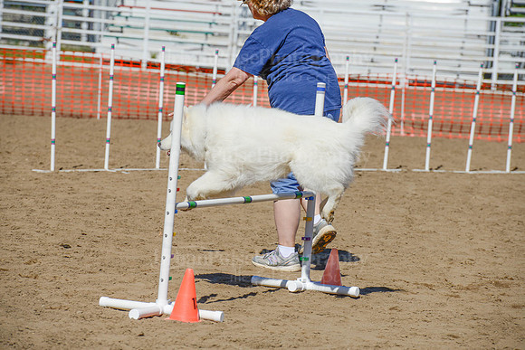 AGILITY-2283