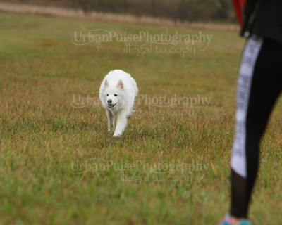 SCA2016_LURE COURSING-7725