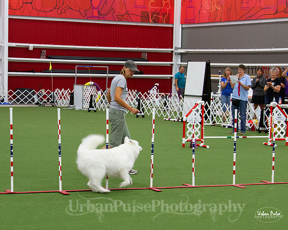 AGILITY_9457