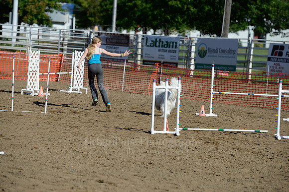 AGILITY-1926