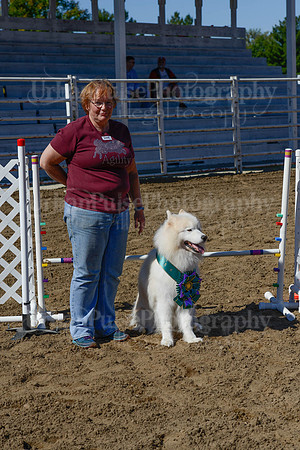 AGILITY-2240