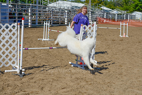 AGILITY-2310