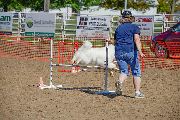 AGILITY-2276