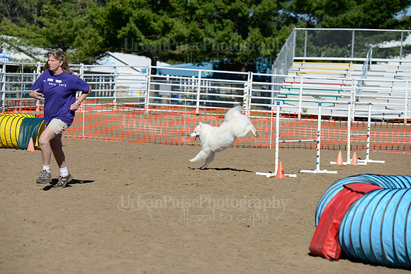 AGILITY-1914