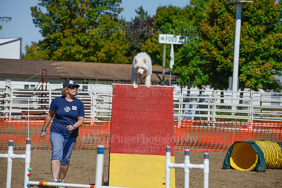 AGILITY-2280