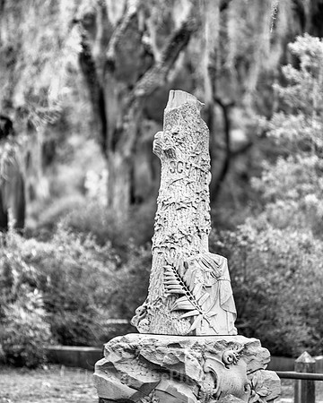 Savannah_9860