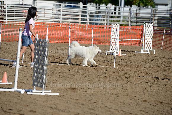 AGILITY-1854