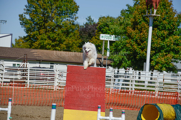 AGILITY-2402