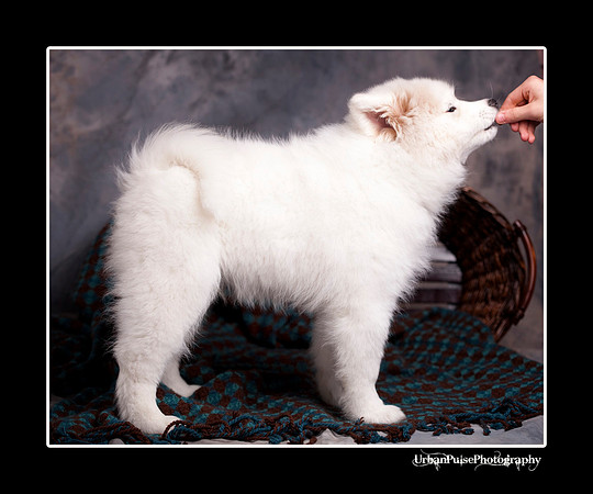 GreenBoy_10wks_web_0647