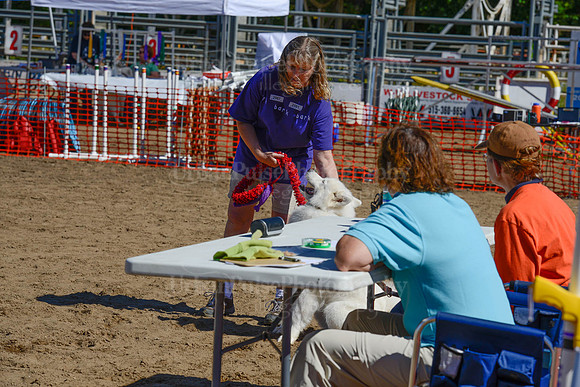 AGILITY-2407