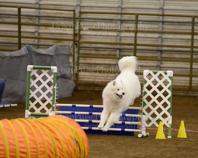 SCA2016_AG MON FAST NOVICE-3546