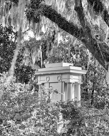Savannah_9816