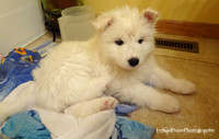 MARLOWE
