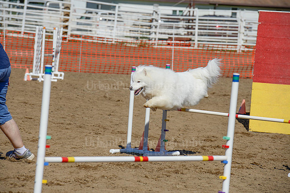 AGILITY-2404