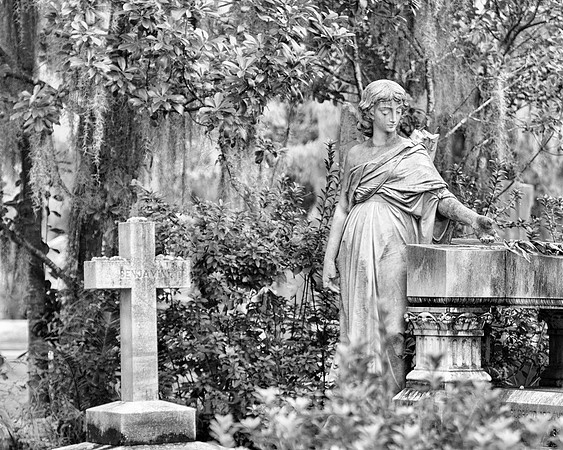 Savannah_9874