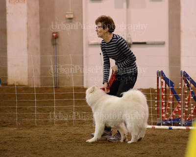 SCA2016_AG MON FAST NOVICE-3570