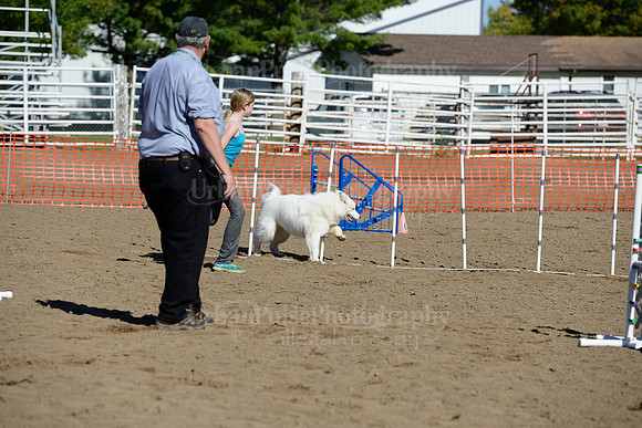 AGILITY-1936