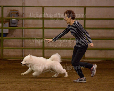 SCA2016_AG MON FAST NOVICE-3574