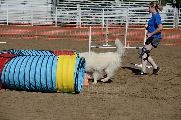 AGILITY-2034