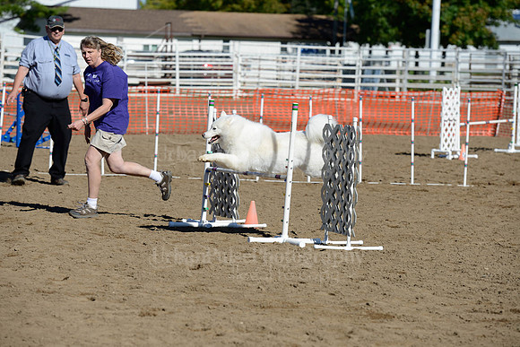 AGILITY-1910