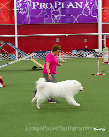 AGILITY_9495